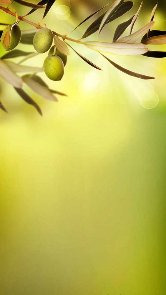 Naturel Yağlar